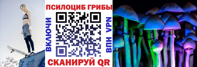 хочу   KRAKEN   Псилоцибиновые грибы GOLDEN TEACHER  Краснодар 