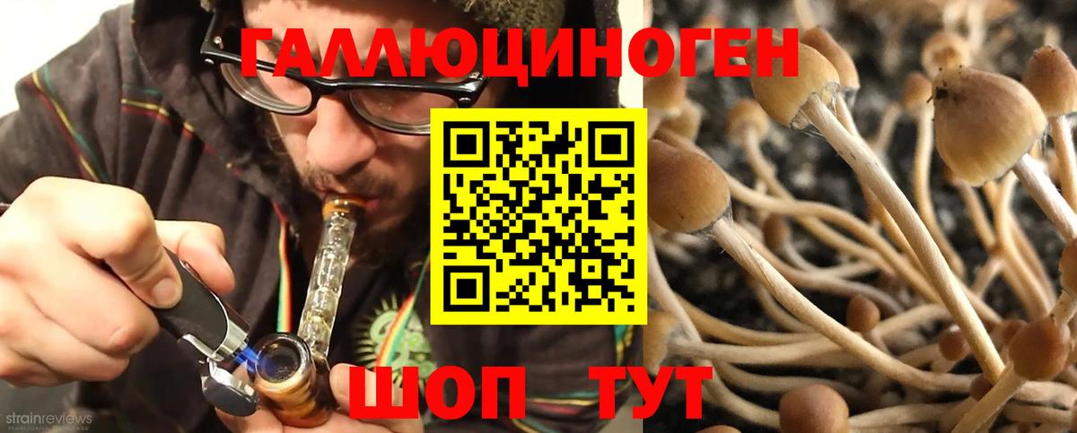 Краснодар  Галлюциногенные грибы Psilocybe  купить закладку  Вход с VPN 
