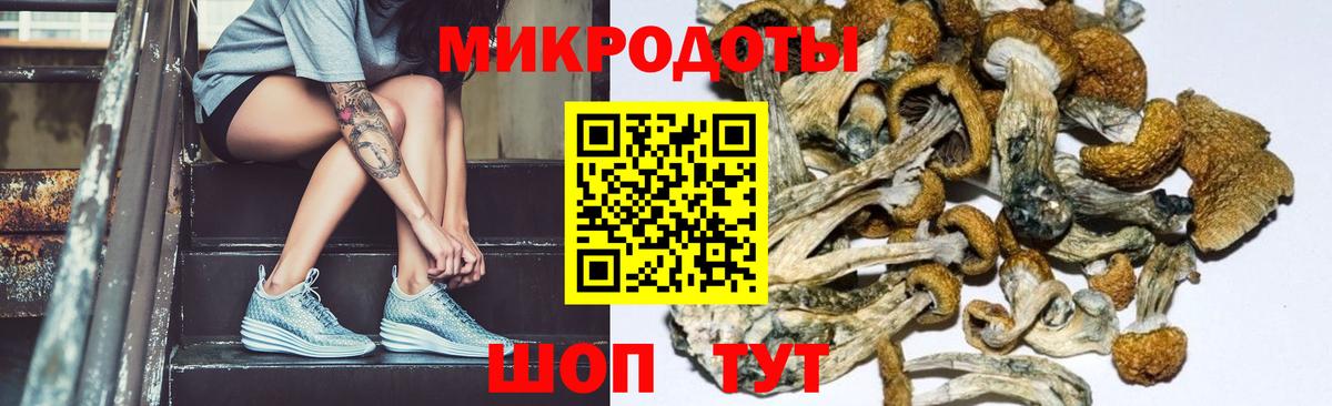 Псилоцибиновые грибы Magic Shrooms Краснодар